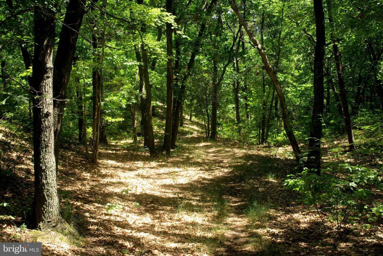 Three Turn Road - Photo 1