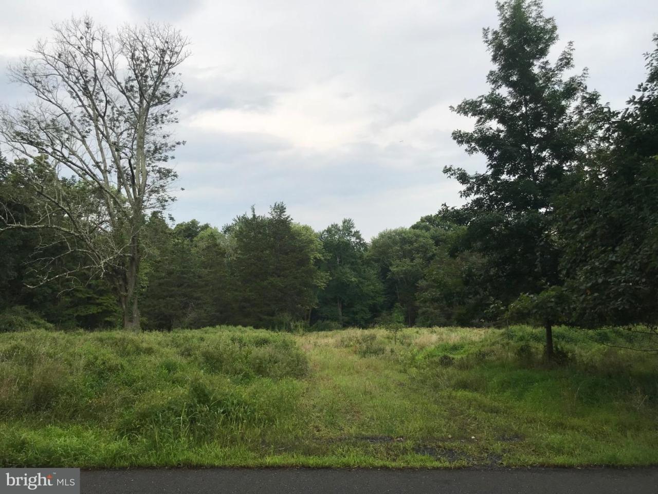 447 Spring Hill Road - Photo 1
