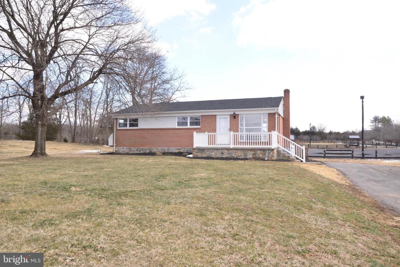 918 Wadesville Road - Photo 1
