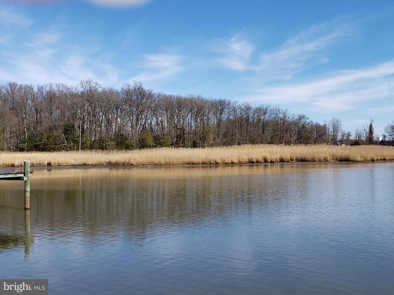Seneca Park Road - Photo 1