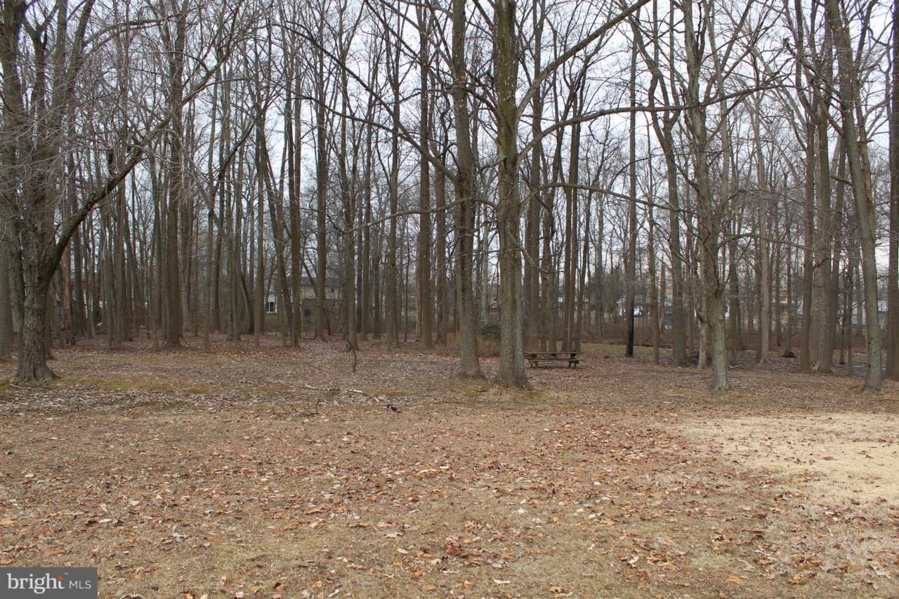 Lot 1 Woodside Lane - Photo 1