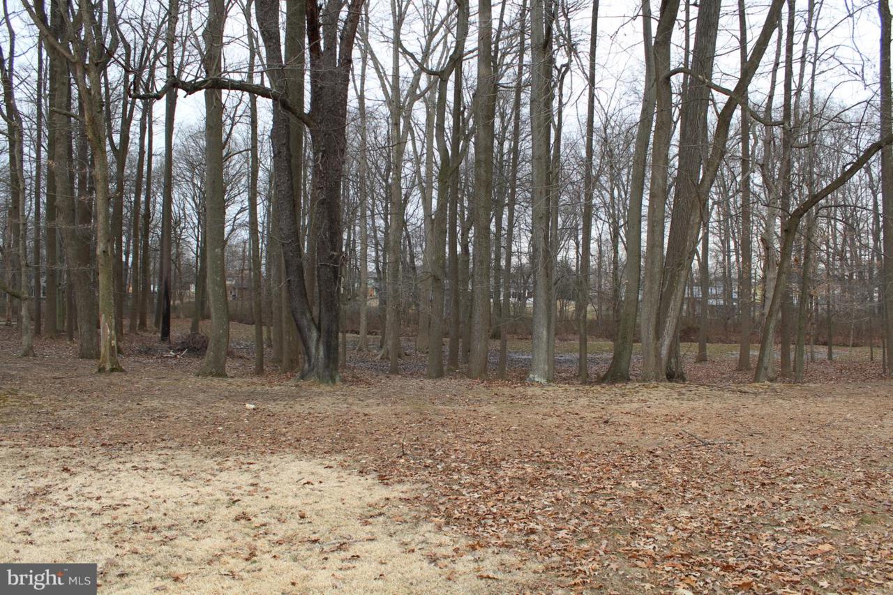 Lot 2 Woodside Lane - Photo 1