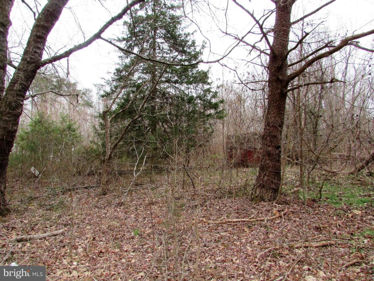 Lot # 25 Cedar Hill Rd. - Photo 1