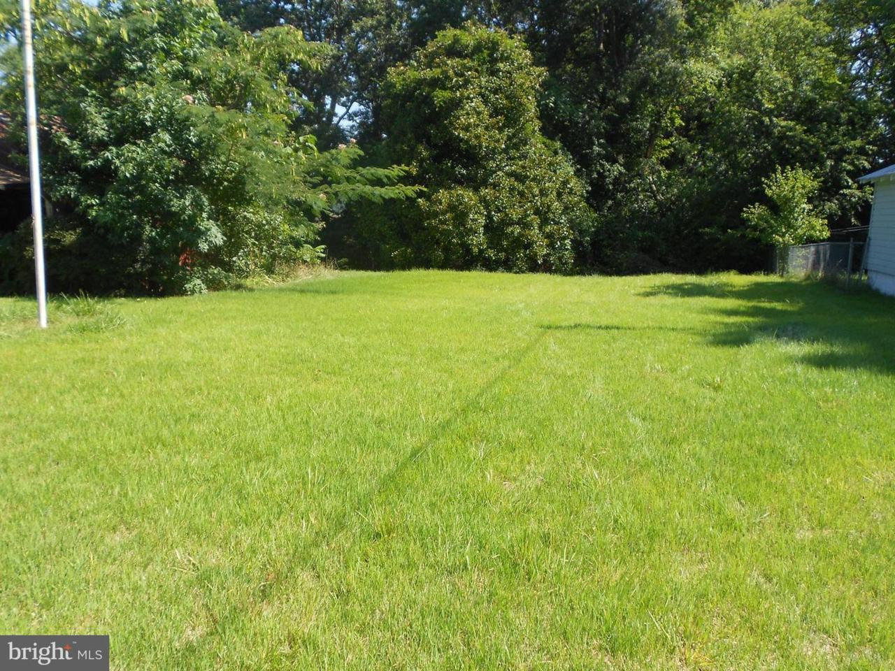 Mattingly Avenue - Photo 1