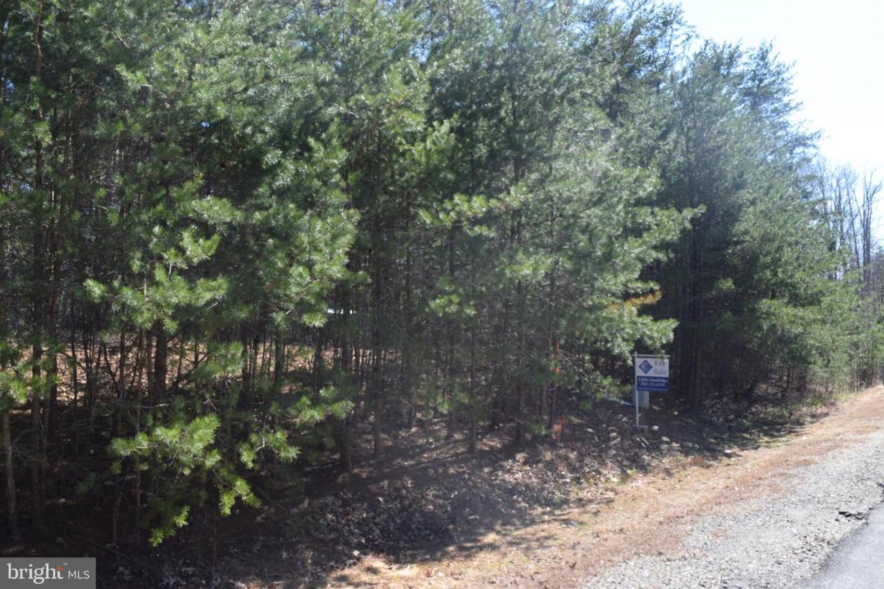 5605 Bazzanella Drive - Photo 1