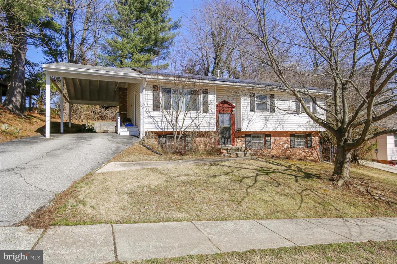 11211 Healy Street - Photo 1