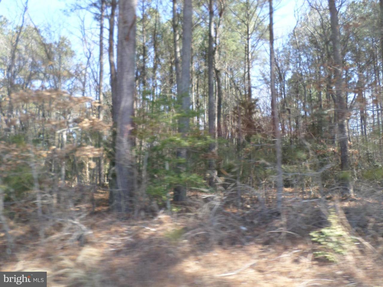 Prospect Avenue - Photo 1