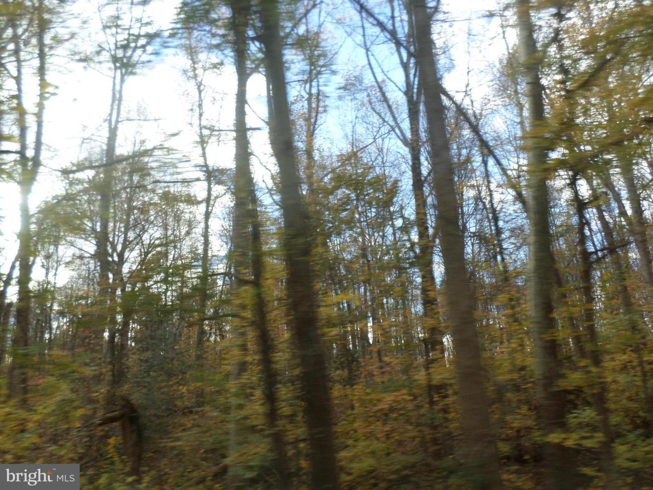 Idlewood Drive - Photo 1