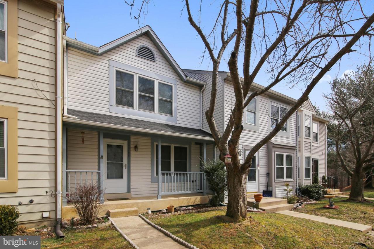 11137 Black Forest Way - Photo 1