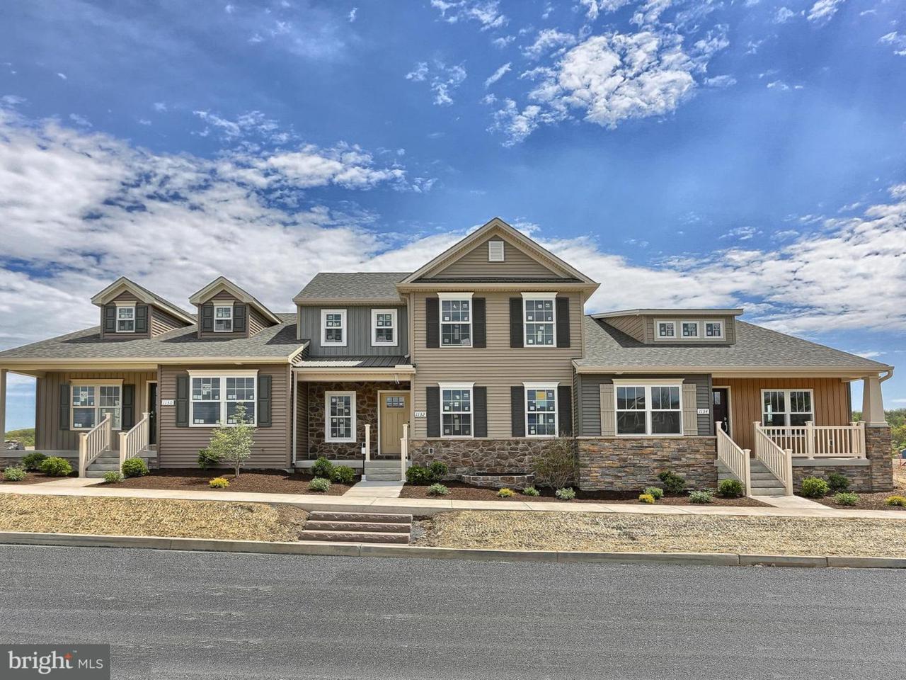 405 White Drive - Photo 1