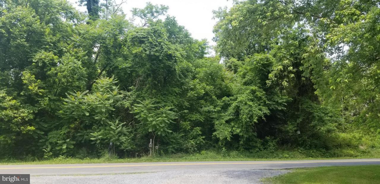 Lot 8 Middle Road - Photo 1