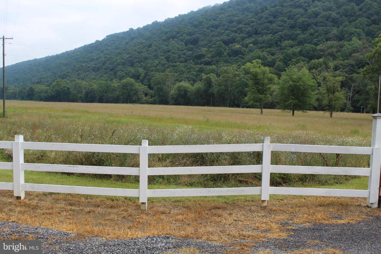 1838 Patterson Creek Village Pike Pike - Photo 1