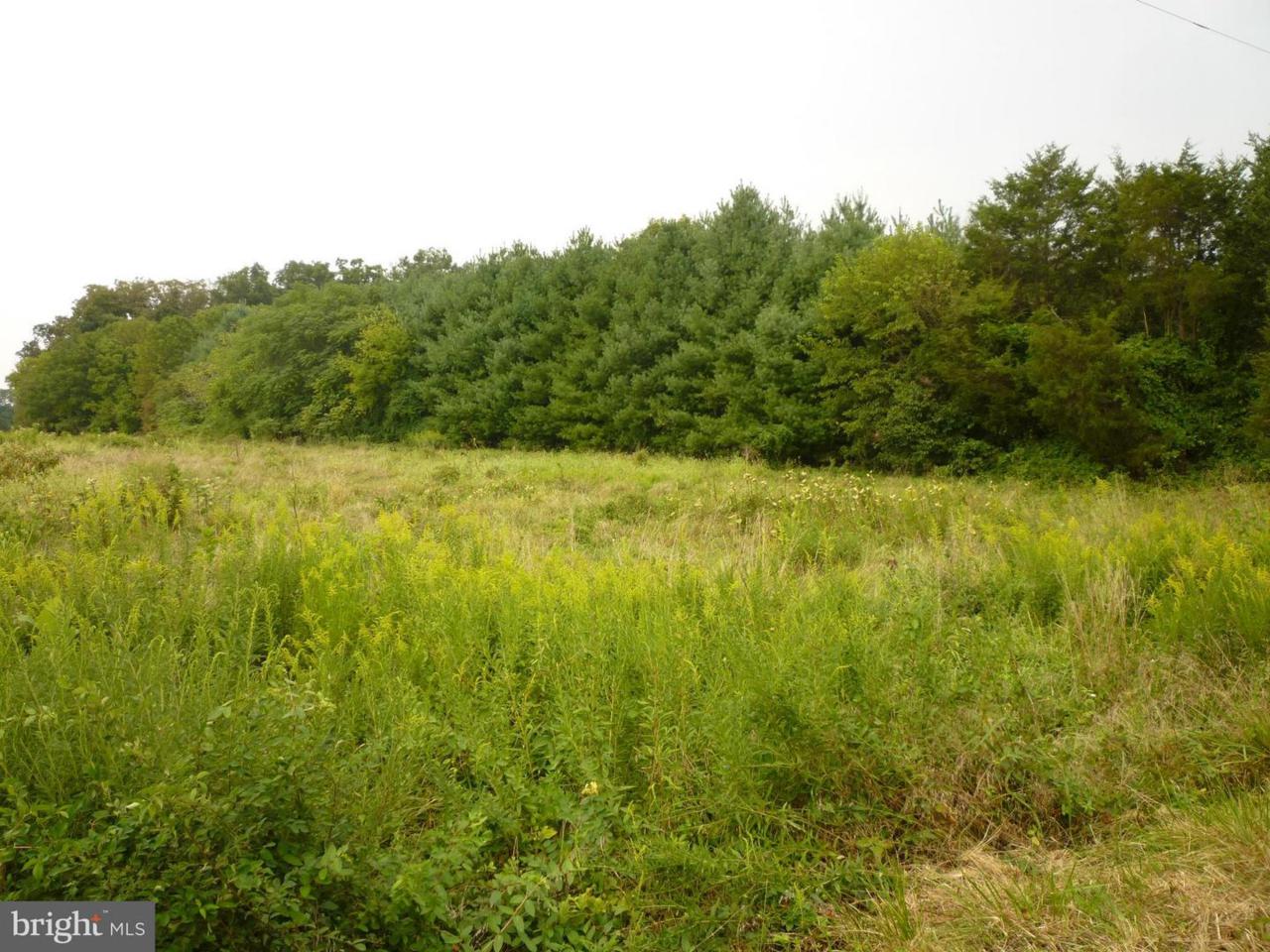 0 Bristersburg Road - Photo 1