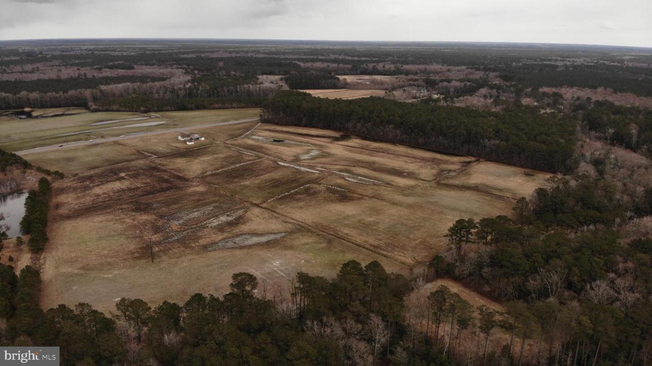 7735 Snow Hill Road - Photo 1