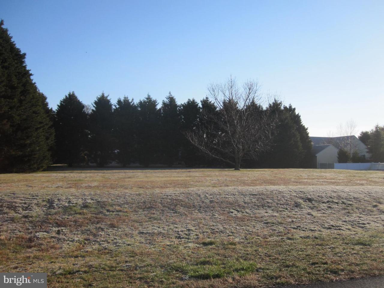 7 Lancaster Lane - Photo 1