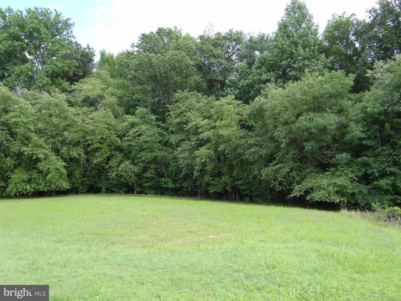 15271 Truman Manor Lane - Photo 1