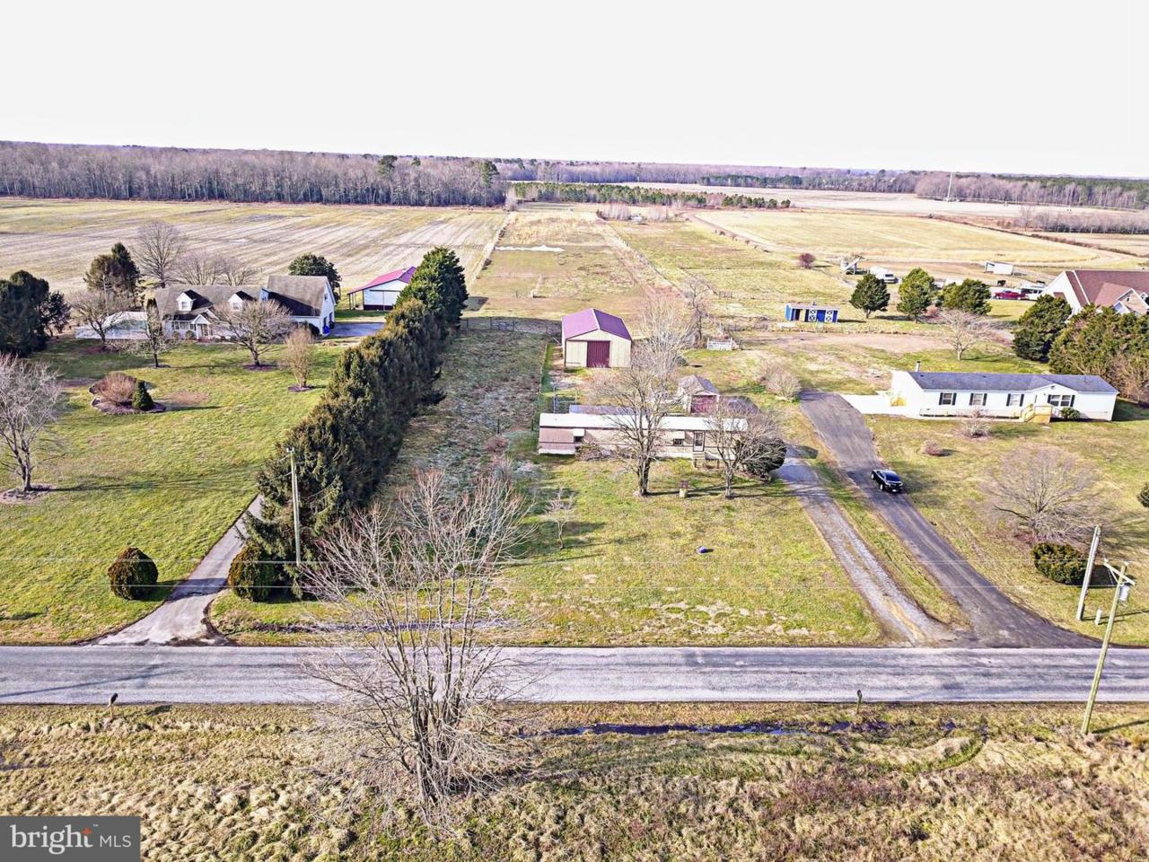 1047 Black Swamp Road - Photo 1