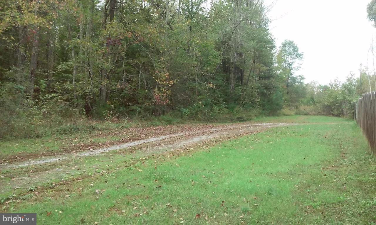 000 Buckner Road - Photo 1