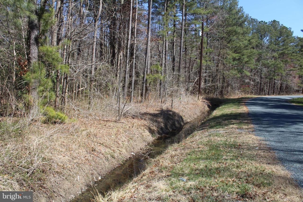 Head Of Creek Road - Photo 1 Head Of Creek Road - Photo 1