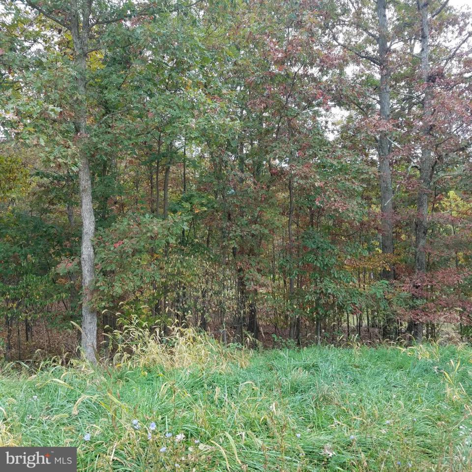 13900 Rolling Oak Drive - Photo 1