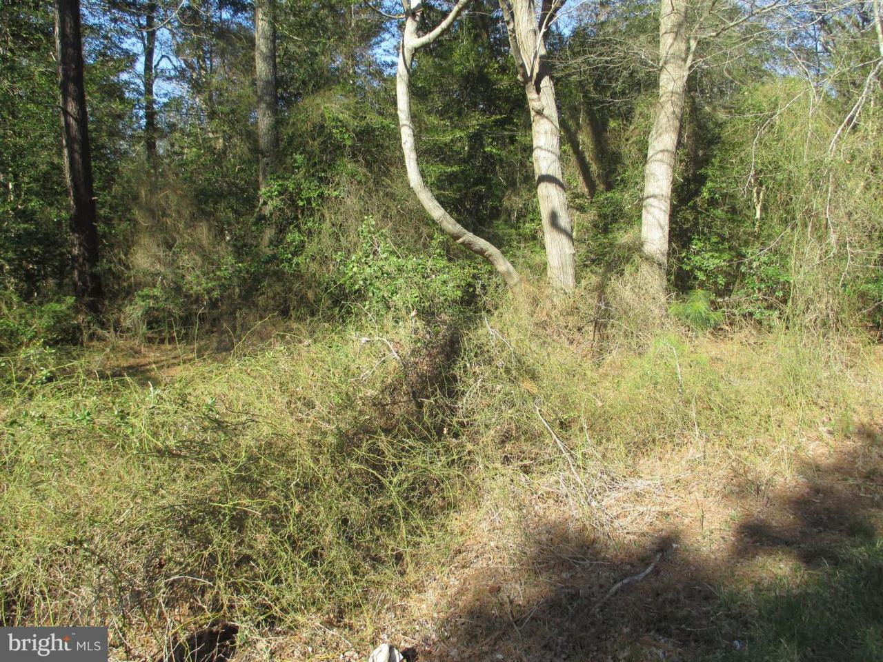 Fred Hudson Road - Photo 1