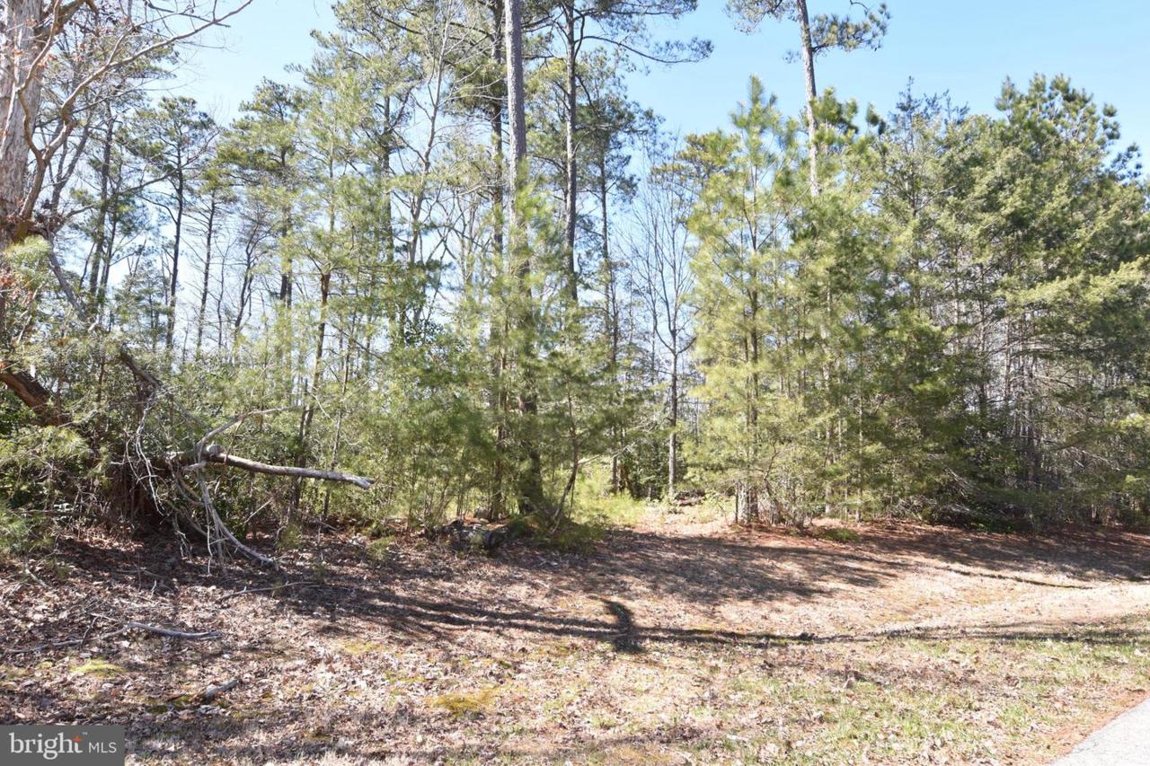 19271 Pristine Way Court - Photo 1