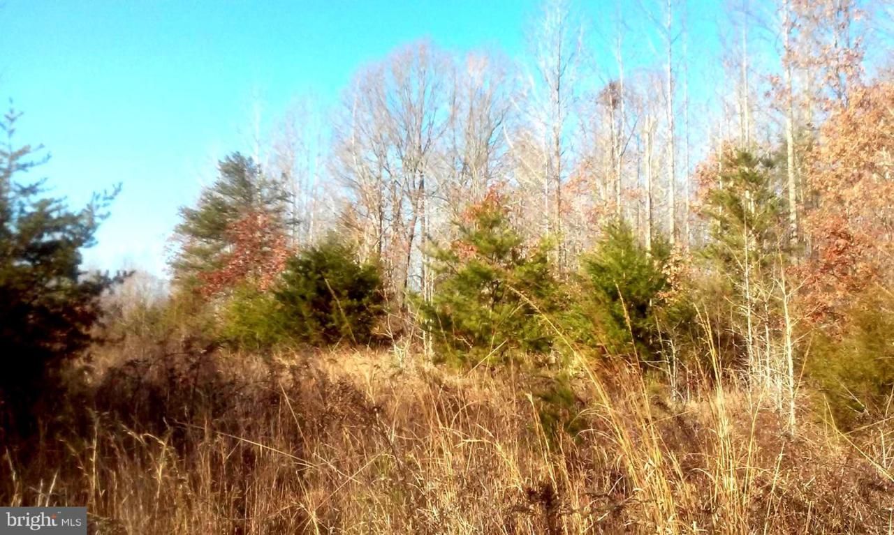 Buckner Road - Photo 1