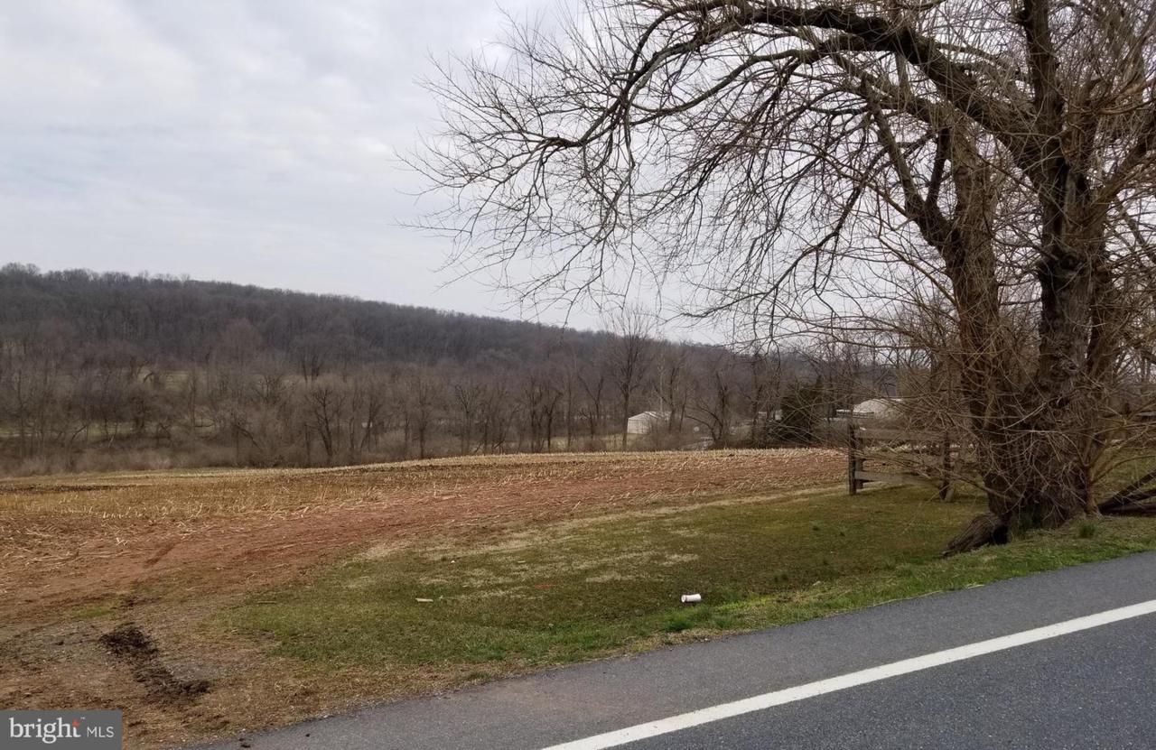 0 Mount Airy Road - Photo 1
