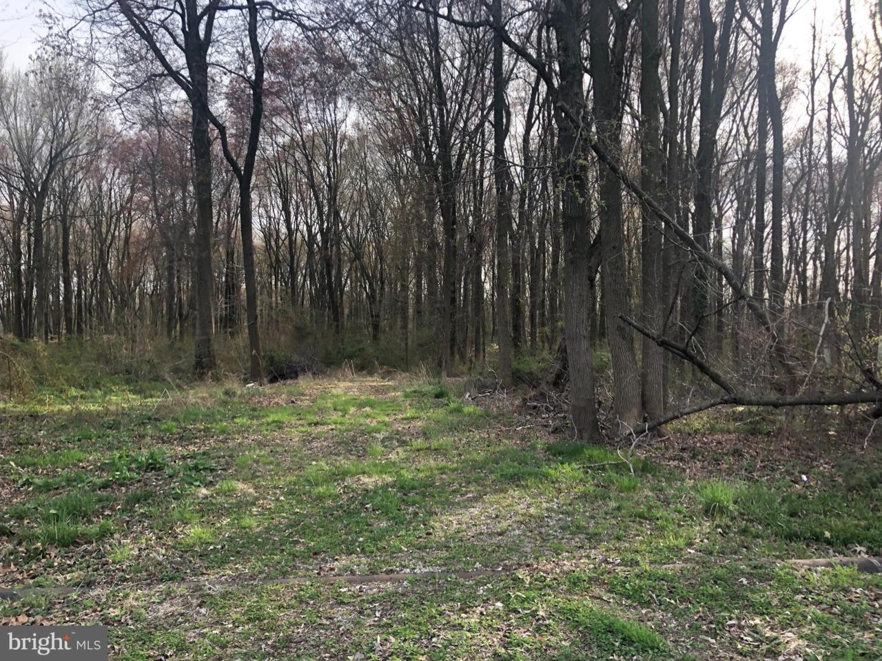 0 Cedar Lane - Photo 1