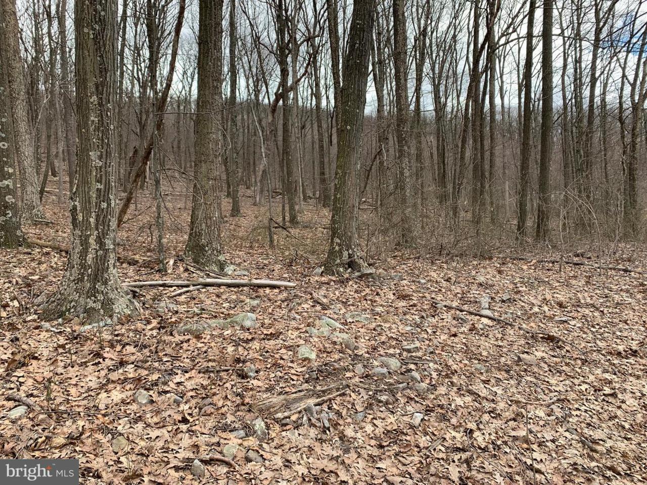 Lot 5 Monroe Mountain Road - Photo 1