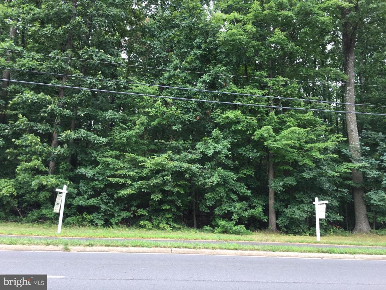 12605 Braddock Road - Photo 1