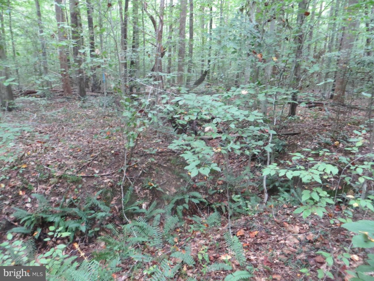 8702 Millwood Drive - Photo 1