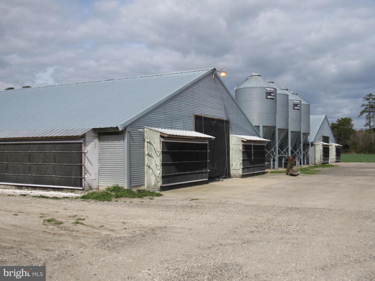 30342 Scott Land Road - Photo 1