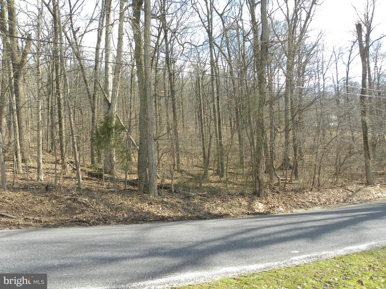 781 Race Track Road - Photo 1