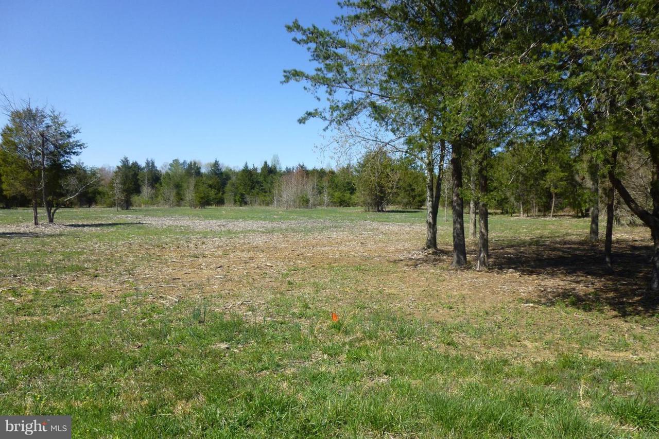 Shannon Hill Road - Photo 1