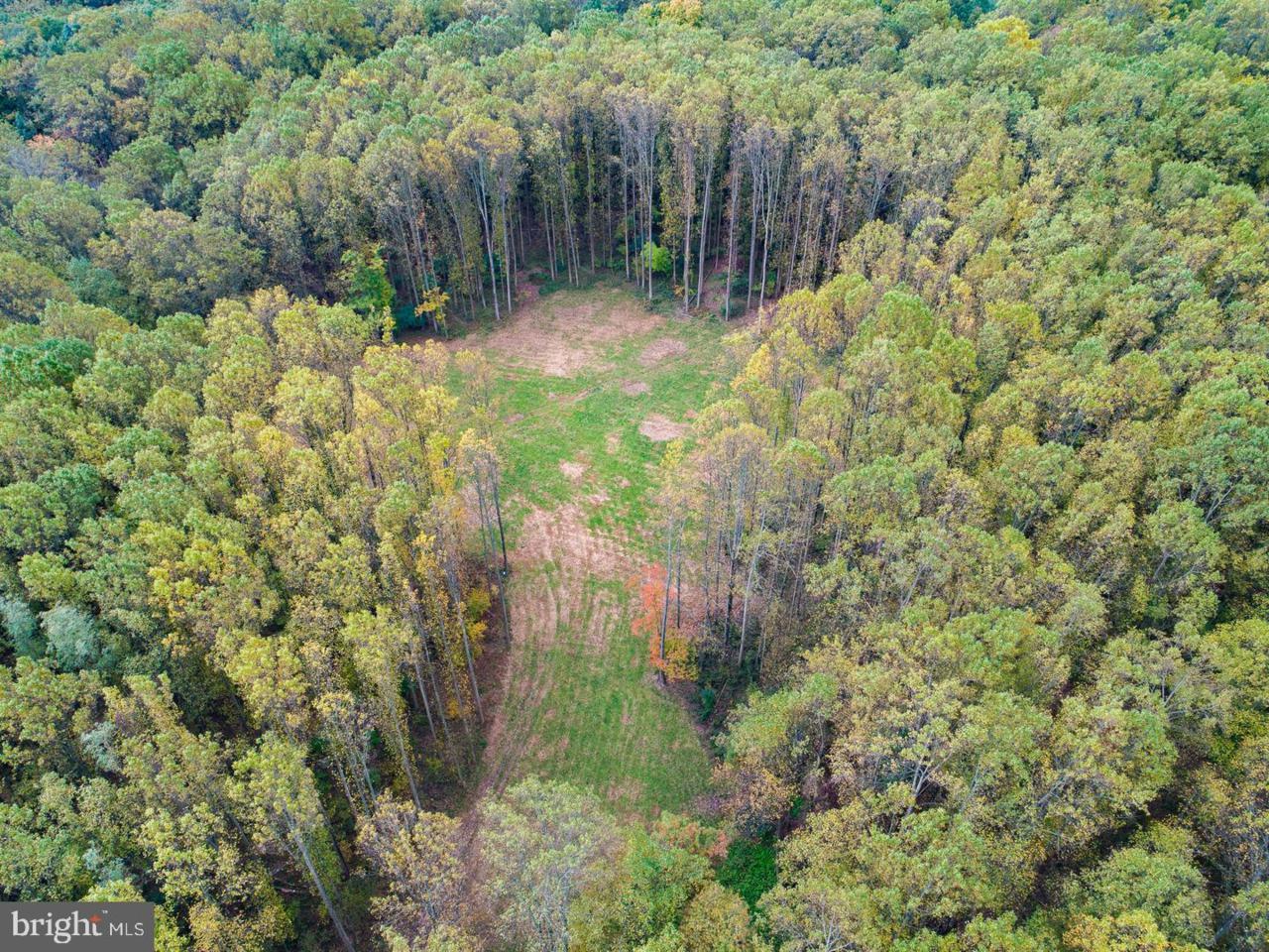 142 Green Valley Road - Photo 1