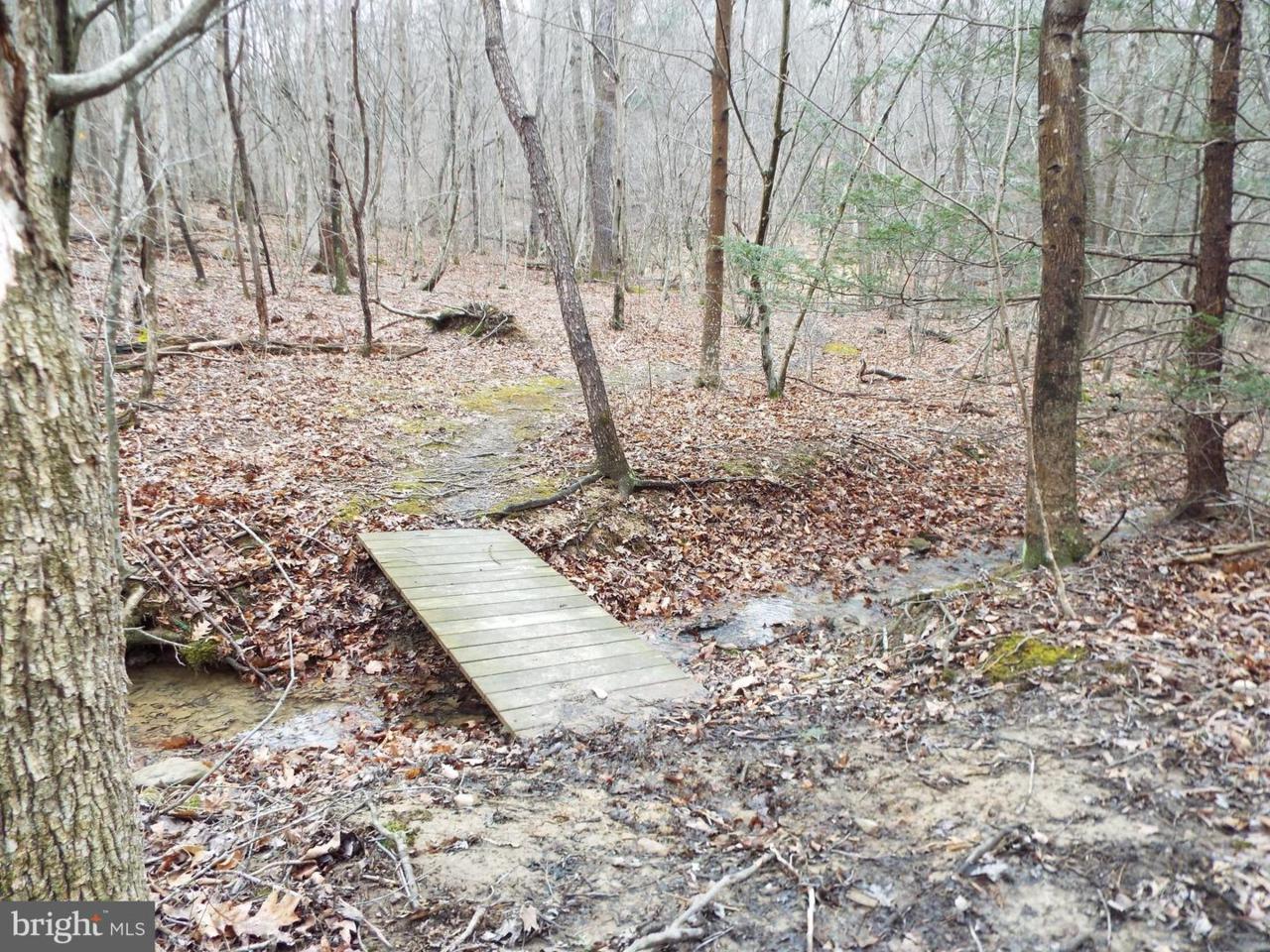 507 Sugar Run Rd., Lot 3 - Photo 1