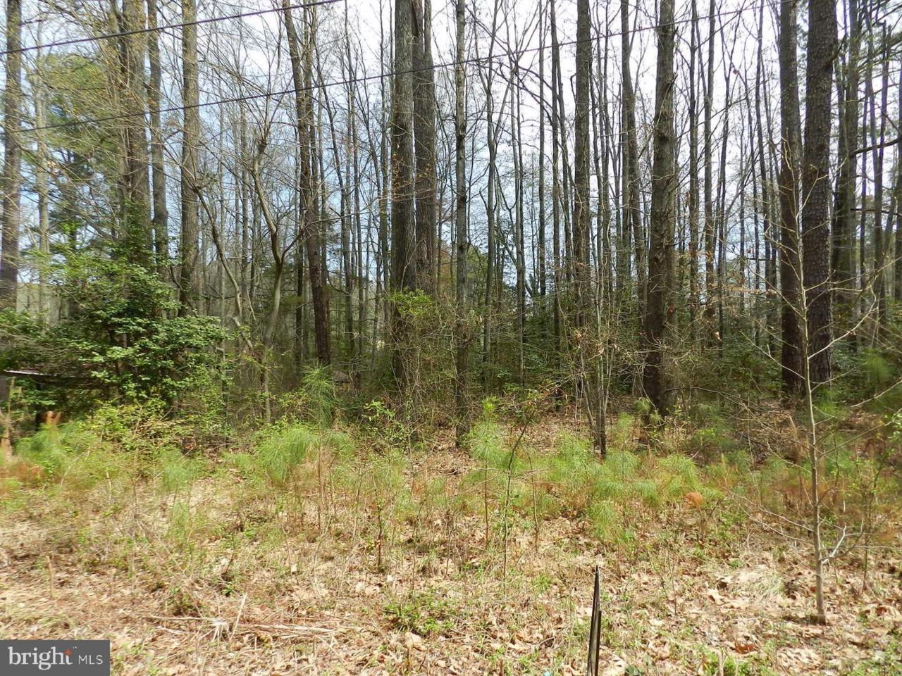 0 Shorewood Dr. - Photo 1