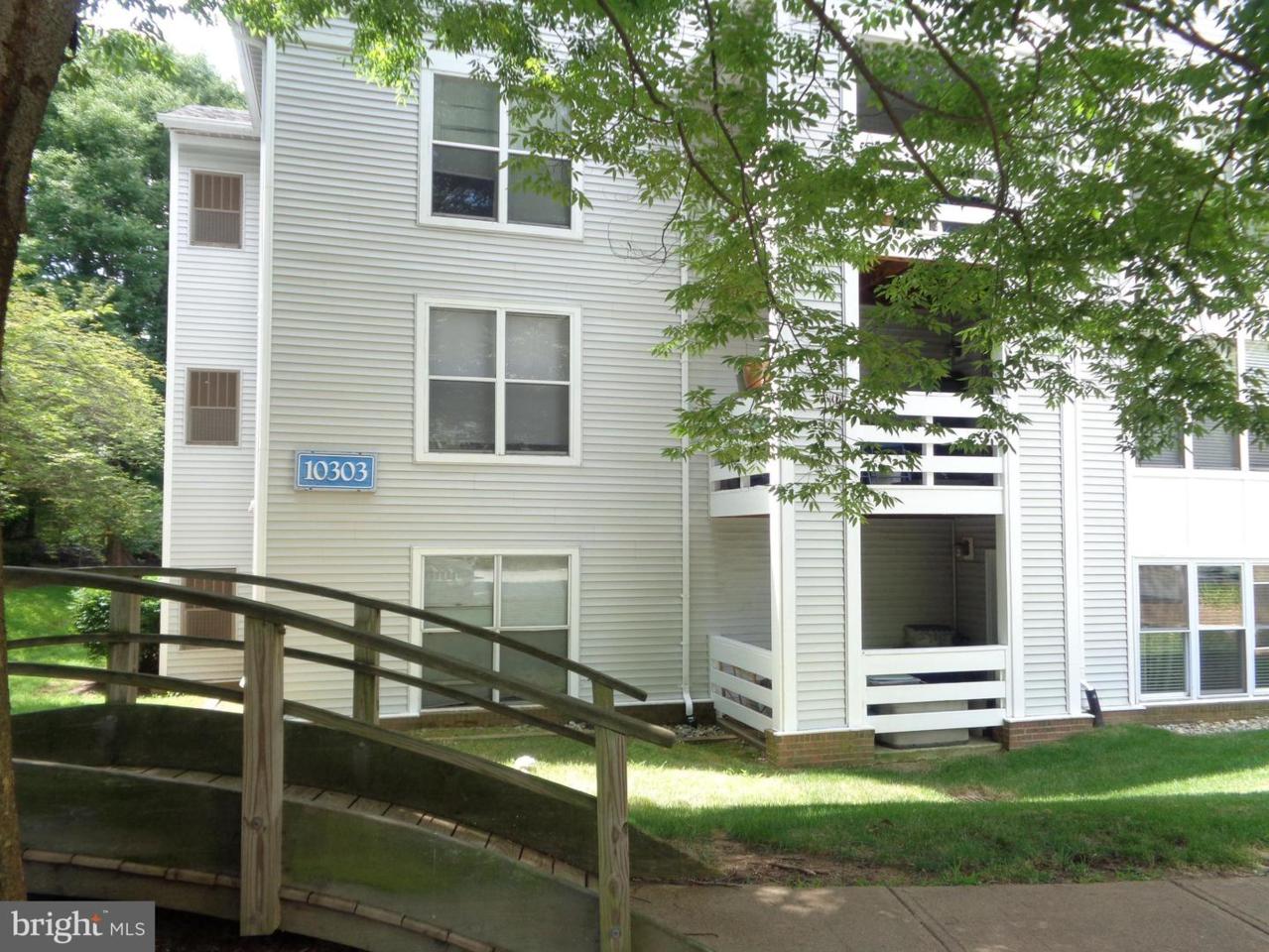 10303 Appalachian Circle - Photo 1