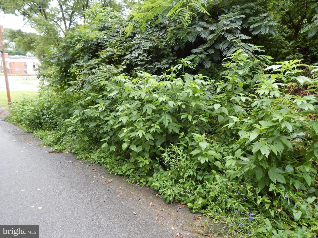 Wilson Lane - Photo 1