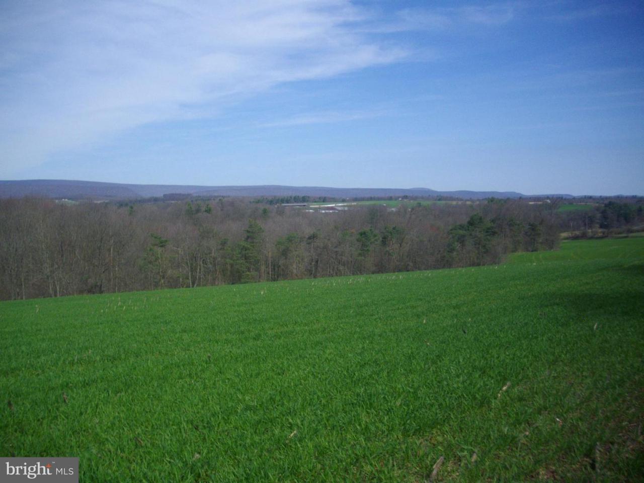 Wertzville Rd - Photo 1