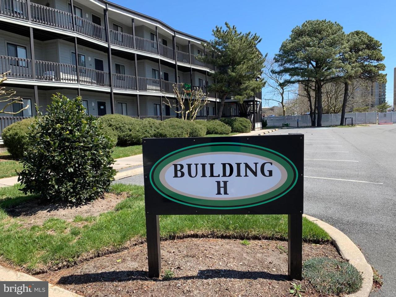 119 Old Landing Rd Road - Photo 1