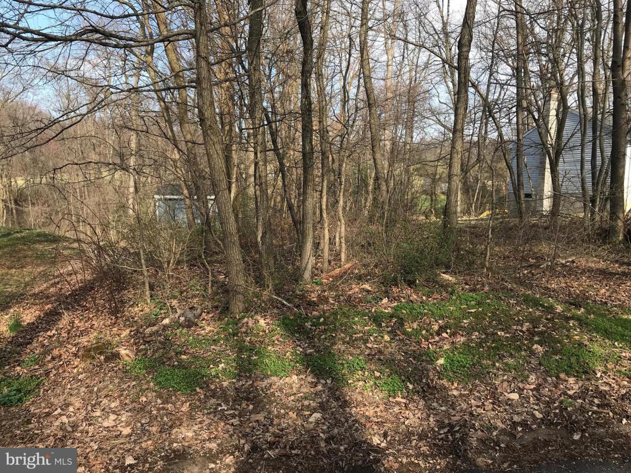 0 Maddox Road - Photo 1
