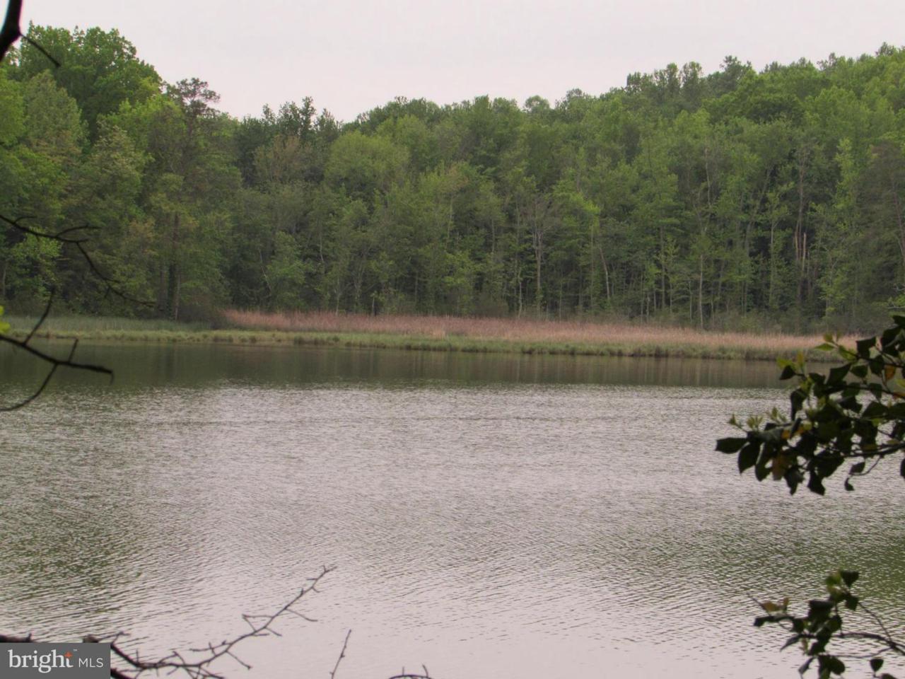 Holly Point Road - Photo 1
