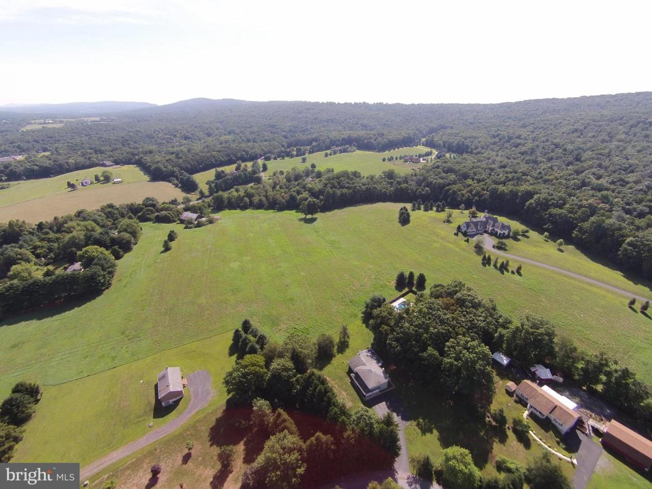 7037 Sleepy Hollow Road - Photo 1