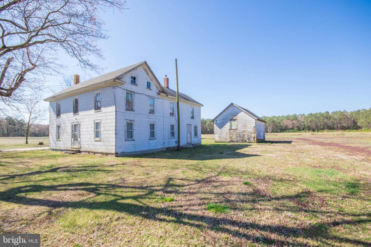 31425 Johnson Road - Photo 1