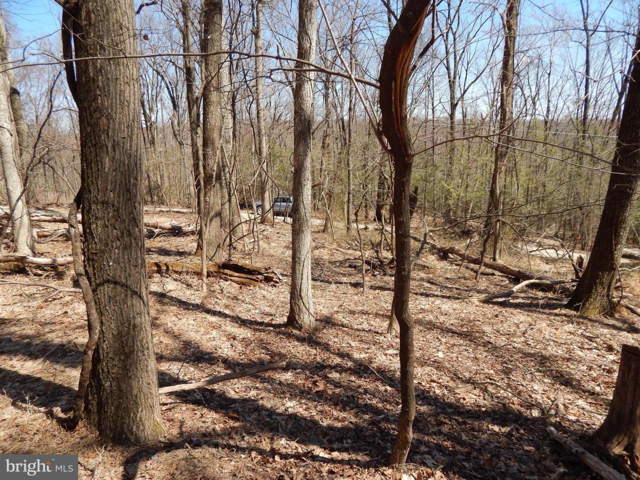 Lot 27 Maverick Trail - Photo 1