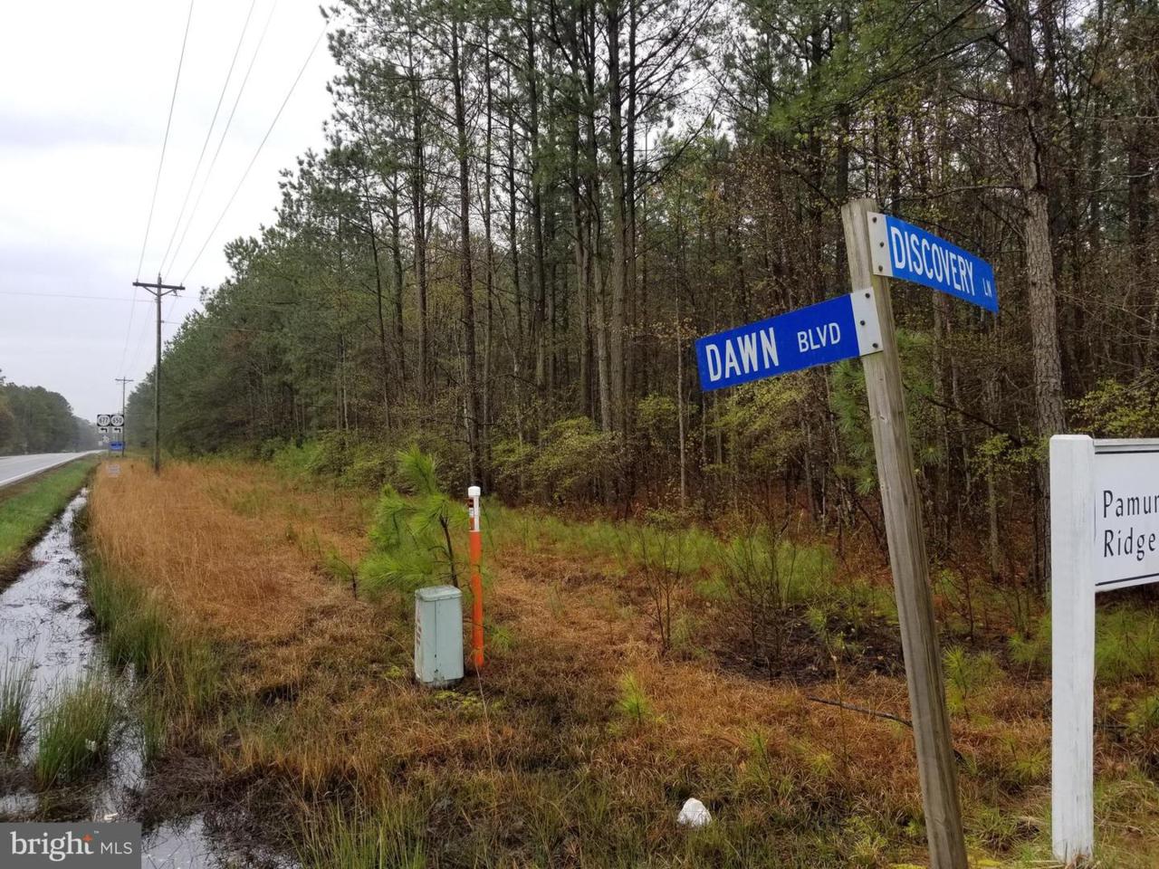 00 Discovery Lane - Photo 1