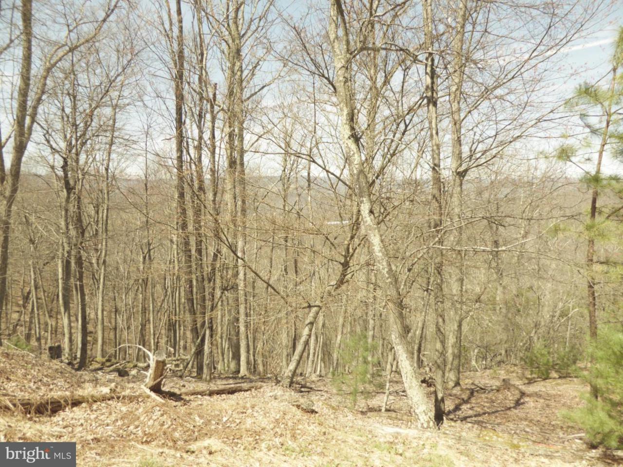 Hc 63 Box 64 - Photo 1