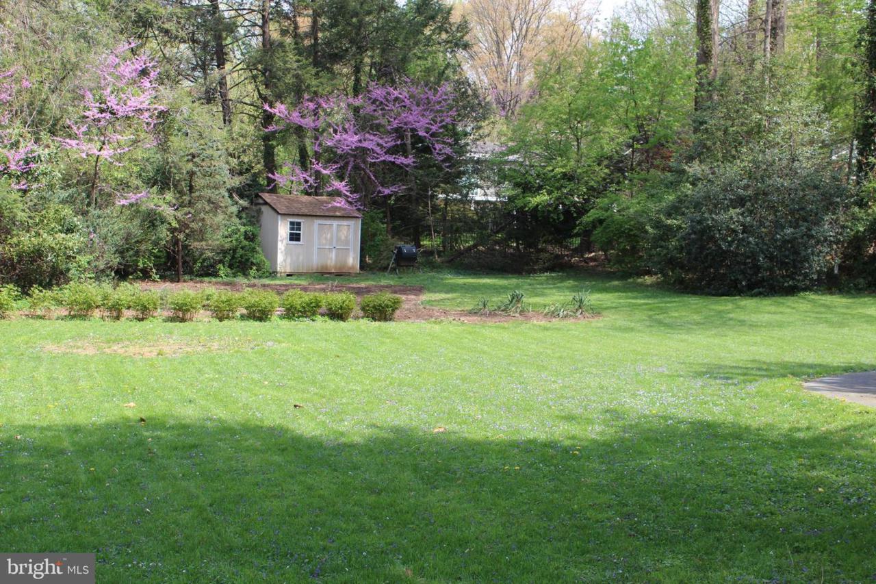 6450 Lily Dhu Lane - Photo 1